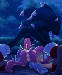 Sonic (Series) Rule 34 Image