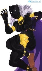 Black Panther (Marvel) Rule 34 Image