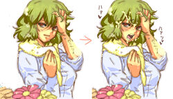 1girls castella cum face facial flower green_hair hands humanoid no_humans oekaki open_mouth red_eyes short_hair team_shanghai_alice touhou youkai yuka_kazami yuuka_kazami