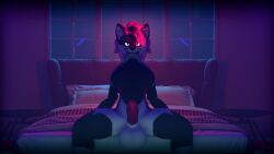 anthro balls bed bedroom big_balls big_penis biting_shirt black_body black_fur breasts circumcised clothed clothing clothing_lift domestic_cat erection felid feline felis fur furniture genitals glowing glowing_eyes glowing_hair gynomorph hair hi_res humanoid_genitalia humanoid_penis inner_ear_fluff inside intersex leg_markings looking_at_viewer mammal markings nerthus_(vaqueroserg) night nude on_bed penis pink_body pink_fur pink_glow pink_hair pink_penis presenting presenting_penis shirt shirt_lift sitting socks_(marking) solo spread_legs spreading topwear tuft vaqueroserg whiskers white_balls white_body white_eyes white_fur