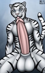 2014 abs anthro aolun balls biceps big_balls big_penis blue_eyes body_markings erection feline fur huge_cock humanoid_penis hyper hyper_penis licking long_penis male male_only mammal markings muscles nude open_mouth pecs penis pink_penis plain_background sheath solo spreading tiger toned tongue tongue_out white_fur white_tiger