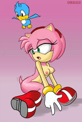 amy_rose anthro breasts color diraulus female flicky fur furry half-closed_eyes hedgehog interspecies mammal nipples nude open_mouth shaking sonic_(series) sonic_adventure sonic_team uncensored unknown_gender