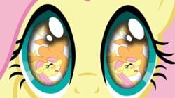 animal animated artist_request big_eyes big_macintosh_(mlp) cutie_mark facesitting flashback fluttershy_(mlp) friendship_is_magic green_eyes my_little_pony rainbow_dash_(mlp) rarity_(mlp) smooth_skin twilight_sparkle_(mlp) yellow_fur zecora_(mlp)