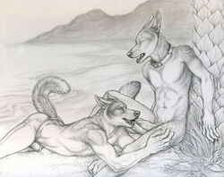 2013 anthro canine canine_penis closed_eyes collar fellatio furry jackal knot licking lying male mammal on_front oral oral_sex outdoors penis rukis sex sketch tongue topless yaoi