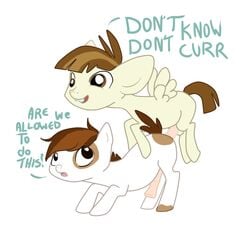 boarbarian featherweight friendship_is_magic my_little_pony pipsqueak