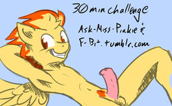 equine flamethrower_(mlp) friendship_is_magic male my_little_pony pegasus rule_63 spitfire_(mlp) tagme wonderbolts_(mlp)