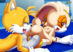 cream the rabbit from sega by bbmbbf