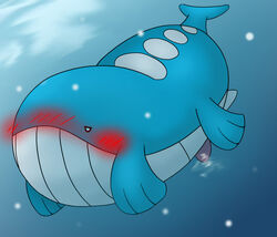 blush color feral male male_only nude penis pokemon solo tagme underwater wailord