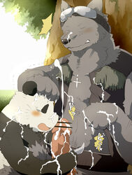 grizzly male_only panda shirokuma_cafe tagme