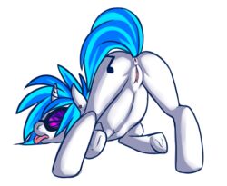 1girls 2d equine female feral feral_only friendship_is_magic my_little_pony solo tagme unicorn vagina vinyl_scratch_(mlp) xesta