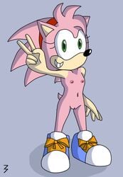 3pac amy_rose classic_amy_rose color female female_only fur furry hedgehog solo sonic_(series) sonic_cd sonic_team