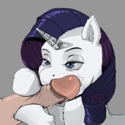 fellatio_from_feral friendship_is_magic human_male human_on_feral jobo37 kevinsano male_human/female_feral male_on_feral my_little_pony rarity_(mlp) zoophilia