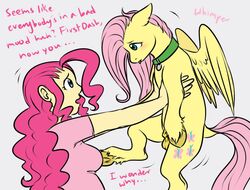 cartoonlion feral fluttershy_(mlp) friendship_is_magic furry futanari futashy humanized intersex my_little_pony rainbow_dash_(mlp) smooth_skin