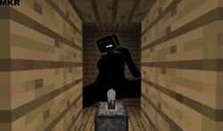 3d 3d_background animated enderman enderwoman minecraft mkr piston_(minecraft) screenshot