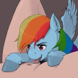 cunnilingus eating_pussy friendship_is_magic jobo37 kevinsano my_little_pony pussy rainbow_dash_(mlp) smooth_skin tongue