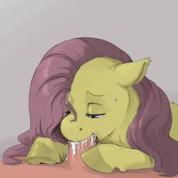 fellatio_from_feral fluttershy_(mlp) friendship_is_magic human_on_feral jobo37 kevinsano male_human/female_feral male_on_feral my_little_pony zoophilia