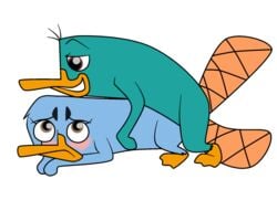 disney female feral fur male mammal monotreme perry_the_platypus phineas_and_ferb platypus straight tagme