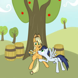 applejack_(mlp) friendship_is_magic my_little_pony smooth_skin soarin_(mlp) w300 wonderbolts_(mlp)