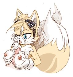 tails the fox from sonic (series) by twistedterra