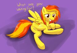 equine female friendship_is_magic my_little_pony pegasus spitfire_(mlp) tagme whatsapokemon wonderbolts_(mlp)