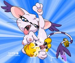 2003 barefoot cum digimon female fingering furry gape gaping gatomon gloves lowres masturbation nipples nude pawpads pussy solo spread_pussy tailmon