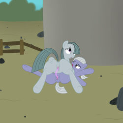 friendship_is_magic limestone_pie marble_pie my_little_pony w300