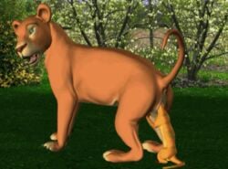 animated anus ass disney female feral lion lioness male meerkat nala pussy straight the_lion_king tiger-paws timon unbirthing vore