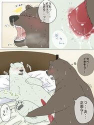 grizzly polar_bear polar_bear_cafe shirokuma tagme