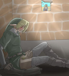 1boy 2girls angelofhapiness link link_(ocarina_of_time) navi nintendo ocarina_of_time sheik the_legend_of_zelda