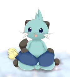 blush color dewott front_view male male_only penis pokemon pokemon_(species) schnecken sitting solo tagme testicles