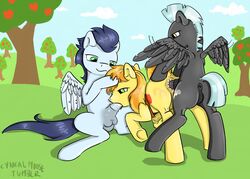 braeburn braeburn_(mlp) earth_pony equine friendship_is_magic fur horse male male_only multiple_males my_little_pony pegasus pony soarin_(mlp) thunderlane_(mlp) wonderbolts_(mlp) yaoi