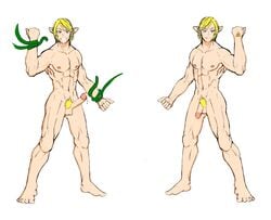 crimsonblood link male_only the_legend_of_zelda