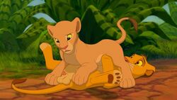 anthro balls cub disney feline female fur furry lion lioness male mammal nala penis simba straight tagme testicles the_giant_hamster the_lion_king young