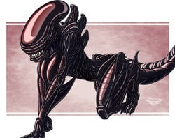 alien_(franchise) all_fours breasts claws color female female_only female_xenomorph hanging_breasts notorious84 nude solo tagme tail xenomorph