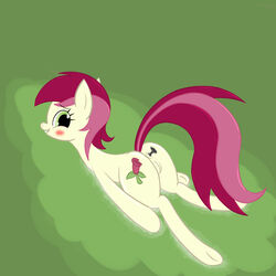 anal_insertion anus blush buttplug earth_pony equine female friendship_is_magic green_eyes hooves my_little_pony pink_hair pussy red_hair roseluck_(mlp) solo tail two_tone_hair two_tone_tail w300