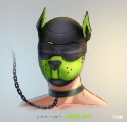 blindfold blindfolded_male chains collar male male_only mask masked nt1_tai pet_play petplay pup_mask puppyplay solo_male tagme