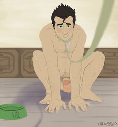 1boy arm_hair avatar_legends bolin chest_hair collar hairy happy_trail leash leg_hair male male_only nickelodeon pubes pubic_hair pubic_trail puppyplay smooth_skin solo the_legend_of_korra uropygid