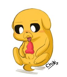 adventure_time chibitracy jake_the_dog male male_only masturbation solo_male tagme