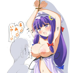 areolae armpits arms_up breast_sucking breasts deego_(omochi_bazooka) female hat large_areolae large_breasts long_hair navel nipples open_mouth patchouli_knowledge purple_eyes purple_hair simple_background standing tied topless touhou white_background