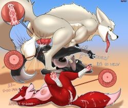 absurd_res anthro anus ball_slap balls big_balls big_breasts big_penis black_body black_fur bodily_fluids breasts canid canine canis cervical_contact cervical_penetration chips_(zekeofgods) cum cum_in_vagina cum_inside felid feline female fennec_fox flare_(zekeofgods) fox from_front_position fur genital_fluids genitals group haiiroyuki_(zekeofgods) hi_res impregnation internal internal_vaginal knot knotted_penis lying male male/female mammal mating_press on_back penetration penis red_body red_fur sex size_difference slap text tongue tongue_out trio true_fox unusualmatias uterus vaginal_penetration vaginal_penetration vulva wolf