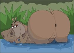 anus arineu big_ass dat_ass dreamworks female feral furry furry_only gloria_the_hippopotamus hippopotamus huge_ass looking_back madagascar_(series) solo tagme vulva