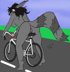 anthro anus ass bicycle black_hair breasts brown_eyes female fluffy fluffy_tail fur genitals grey_body grey_fur hair hi_res mammal markings nude procyonid public public_nudity raccoon rear_view ring_(marking) ringed_tail sailoranna solo striped_markings striped_tail stripes tail tail_markings tracy_(sailoranna) vehicle vulva