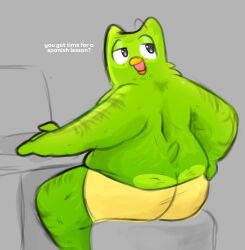 duo (duolingo) from duolingo