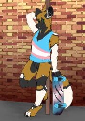 absurd_res african_wild_dog andromorph anthro black_vulva bottomless brick_wall canid canine canis casual_exposure clothed clothing ear_piercing eyebrow_piercing facial_piercing fur genitals green_eyes hair hi_res intersex lgbt_pride lip_piercing looking_at_viewer mammal outside piercing pole pride_colors ring_piercing shirt skateboard smile solo sweetvixsin tail topwear trans_(lore) trans_man_(lore) transgender_pride_colors vehicle vulva wall_(structure)