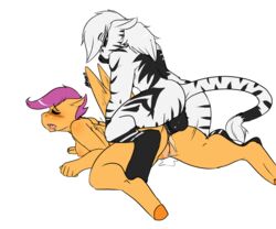 aged_up anthro avante92 cutie_mark_crusaders doggy_style female friendship_is_magic male my_little_pony scootaloo_(mlp) straight_hair zebra_(male)_(mlp)