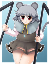 animal_ear female grey_hair jewelry mouse_ears mouse_tail nazrin pendant pussy red_eyes tail touhou