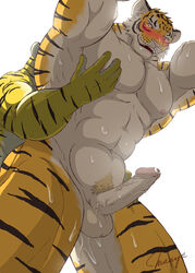 2boys blush erection feline fur furry male male_only mammal multiple_males muscles no_humans nude penis tiger yaoi