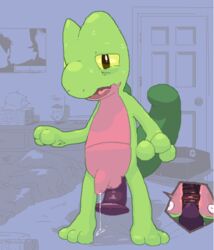 animated color male male_only pokemon solo treecko