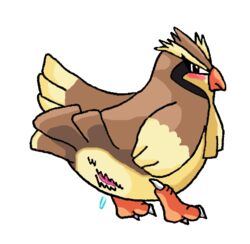 artist_request blush colored female female_only feral nintendo nude pidgey pokemon pokemon_(species) pokemon_rgby solo tagme vulva