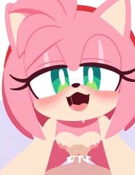 amy rose from sega by shittyaistuff